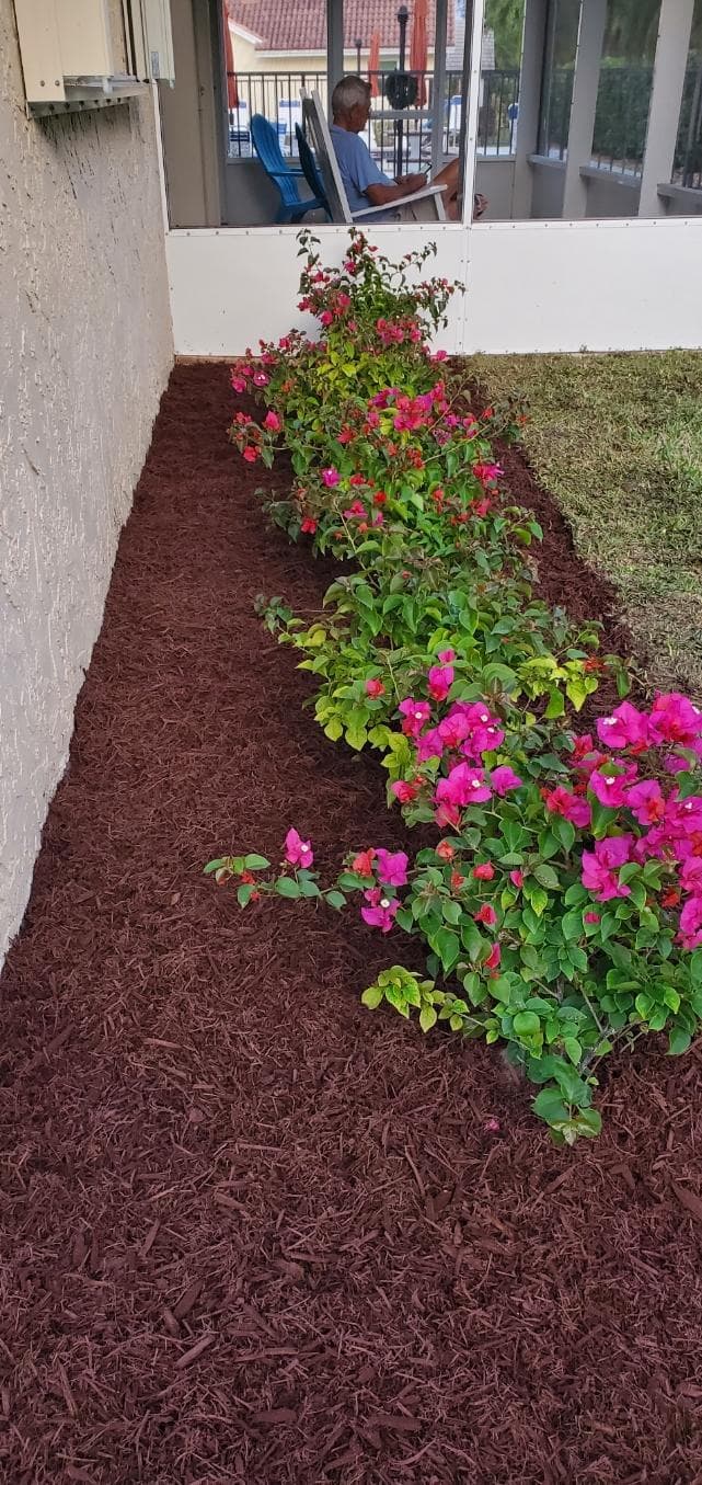 Landscaping project by Domi Landscape — photo 8