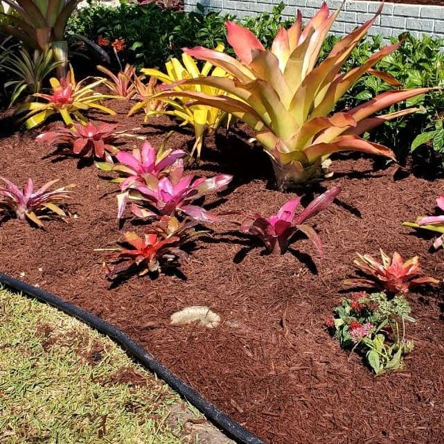 Landscaping project by Domi Landscape — photo 11