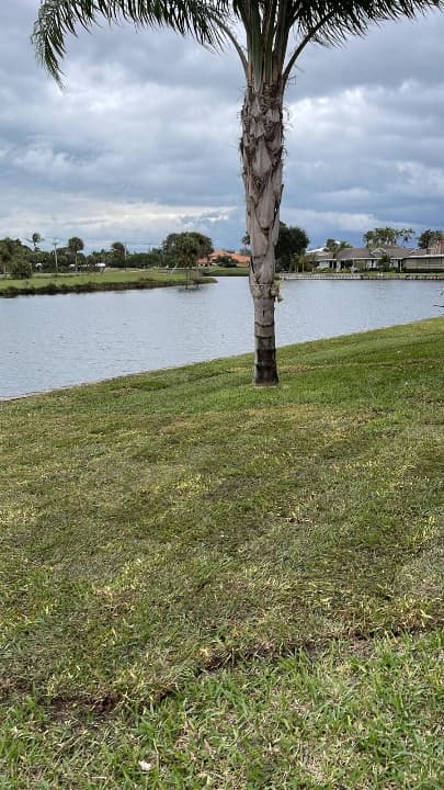 Lawn Care project by Domi Landscape — photo 3