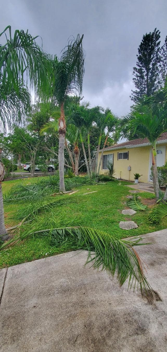 Yard Cleanup project by Domi Landscape — photo 2