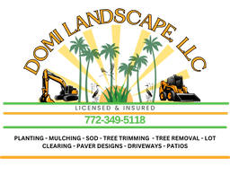 Domi Landscape